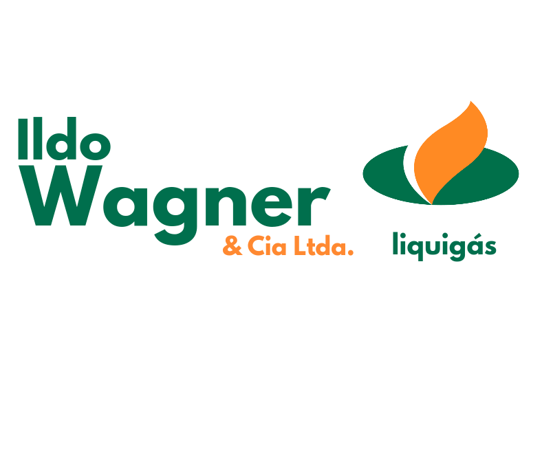 Ildo Wagner